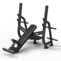 Олимпийская скамья для жима под углом Spirit SP-4210