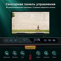 Беговая дорожка Hasttings EVOK