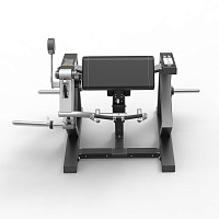 Бицепс машина Spirit  SP-4513