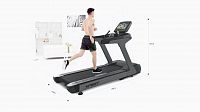 Беговая дорожка Spirit CT900ENT