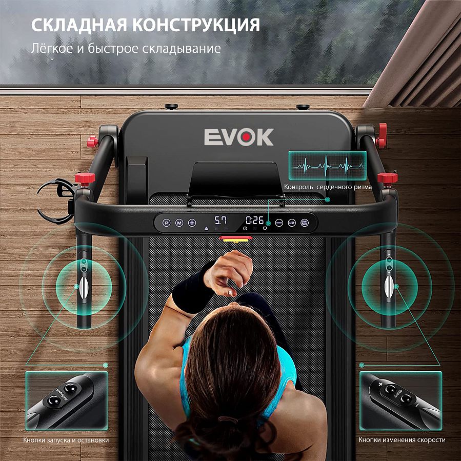 Беговая дорожка Hasttings EVOK